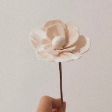 Load image into Gallery viewer, Sola Wood Diffuser Bouquets