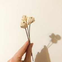 Load image into Gallery viewer, Sola Wood Diffuser Bouquets
