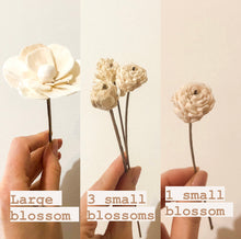 Load image into Gallery viewer, Sola Wood Diffuser Bouquets
