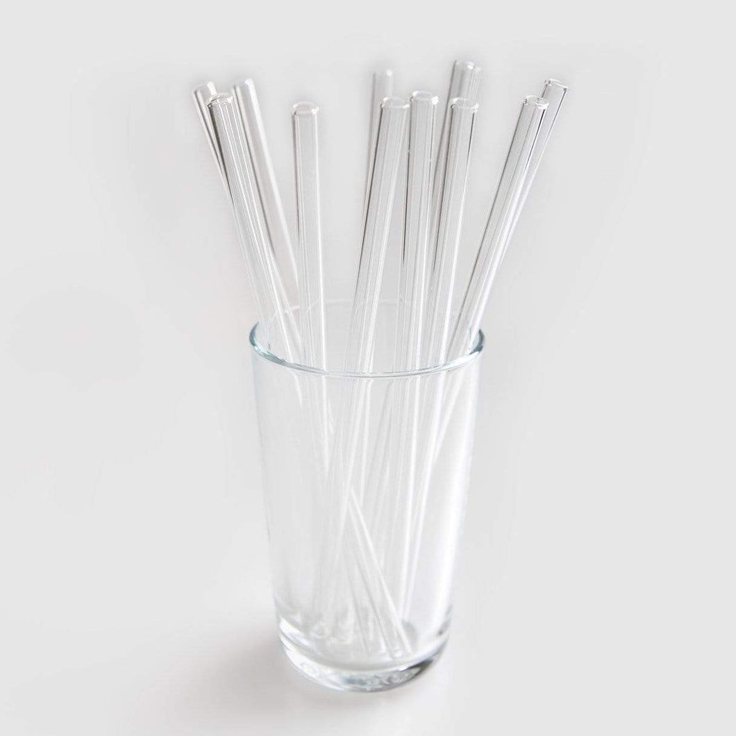 Glass Eco-Straw with Cleaner & Sleeve